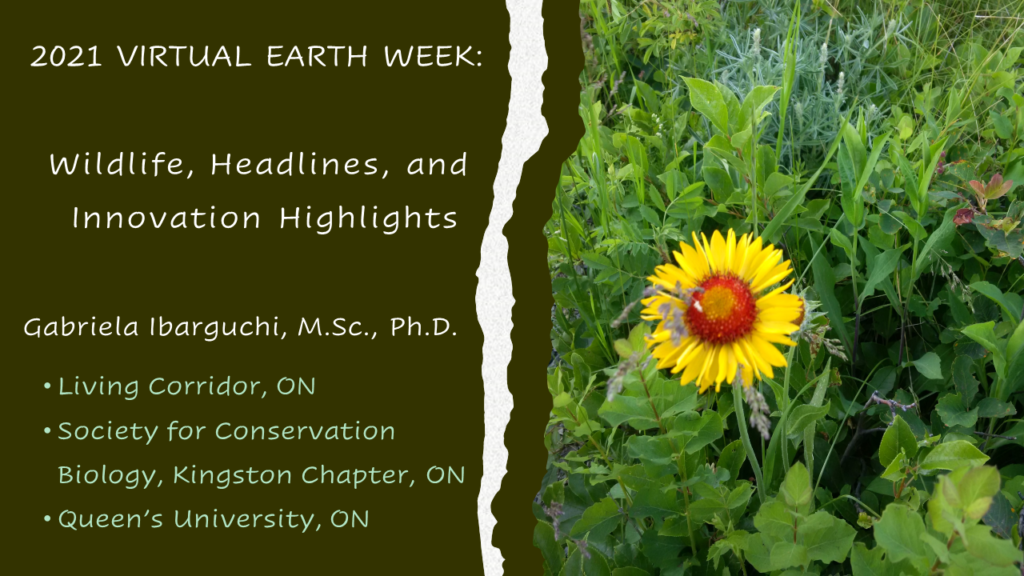 Event - 2021 Virtual Earth Week